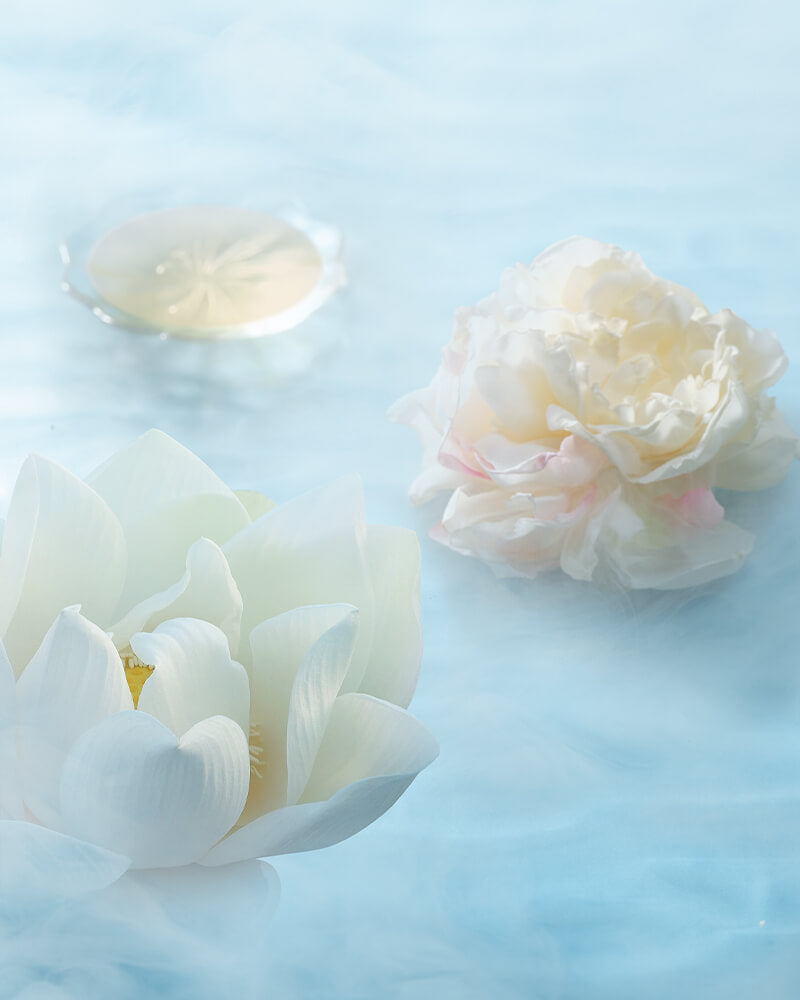 [Members Only] Twin-Lotus Relief Luminous Glow Highlighter + Soft Blooming Highlighter Brush