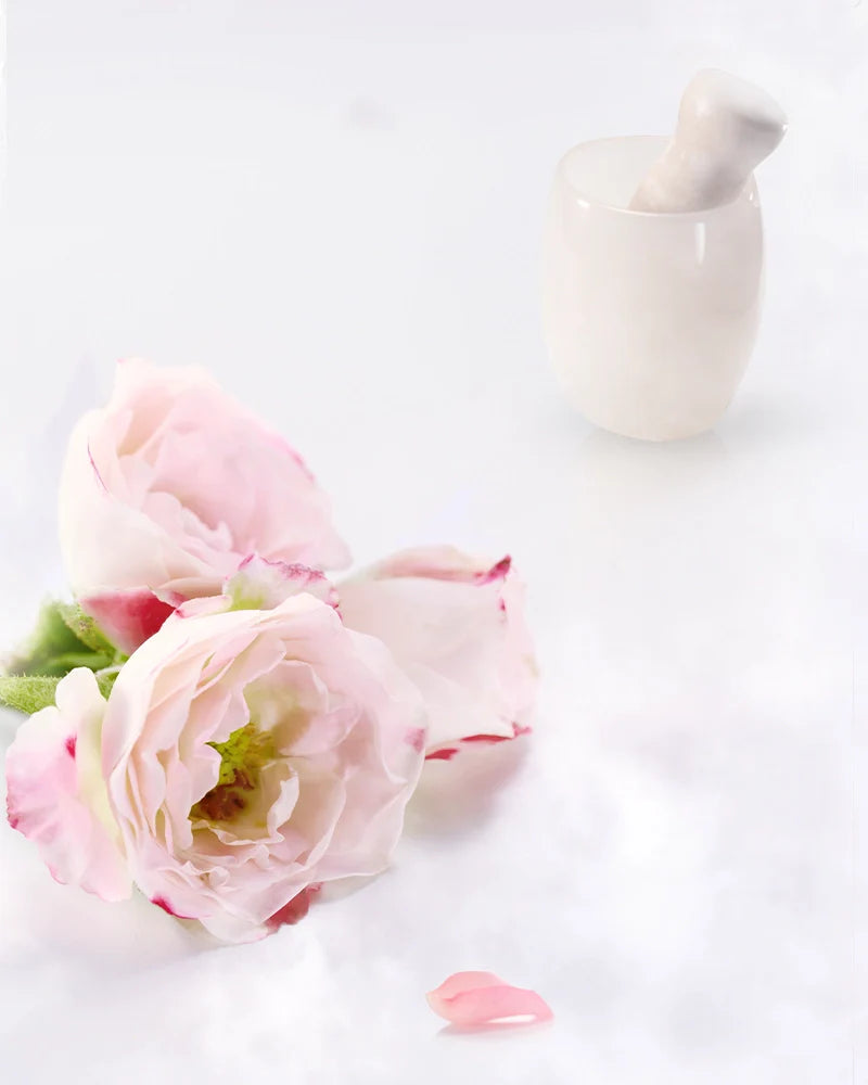 【Points-Redeemable】Blooming Rouge Porcelain Lipstick M212